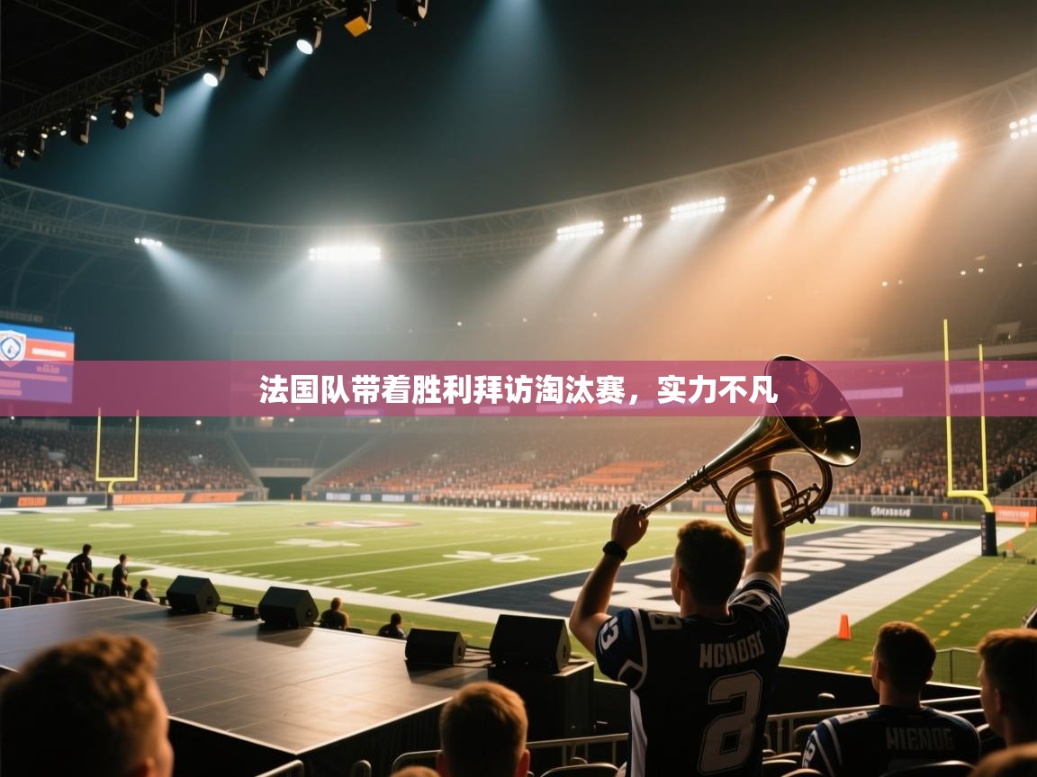 法国队带着胜利拜访淘汰赛,实力不凡 第1张